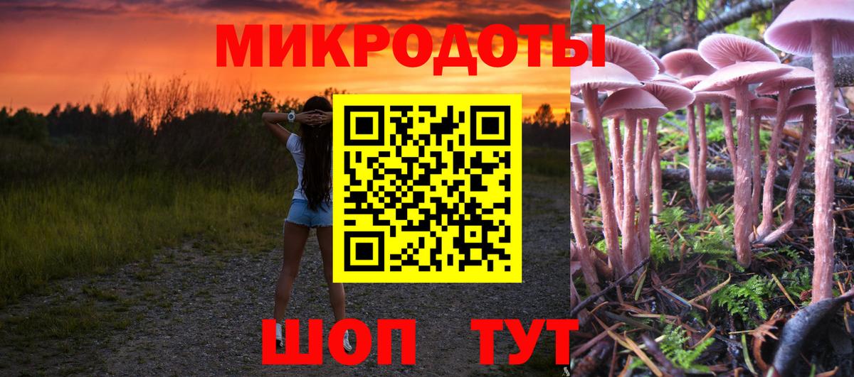 Псилоцибиновые грибы GOLDEN TEACHER  Вход с VPN  Астрахань 