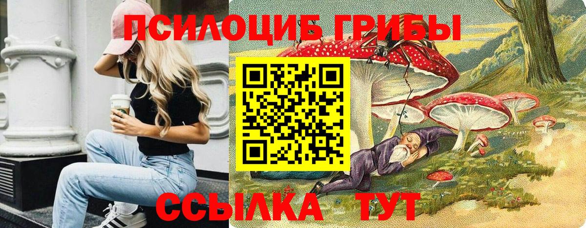 Галлюциногенные грибы GOLDEN TEACHER Астрахань